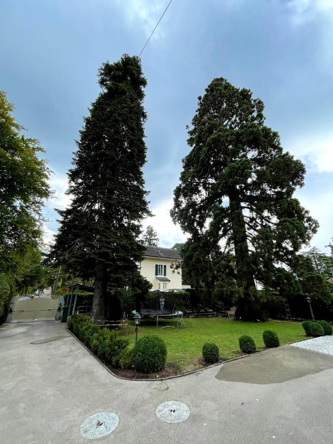ז'נבה Residence Mont-Blanc מראה חיצוני תמונה