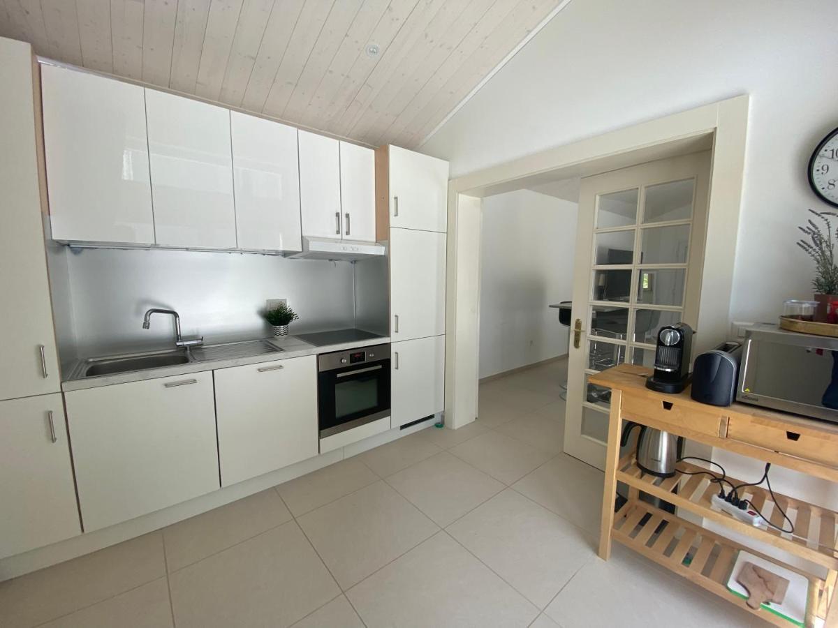 ז'נבה Residence Mont-Blanc מראה חיצוני תמונה